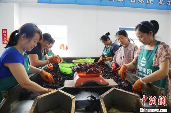 喝好茶、养好虾 河南潢川因地制宜走出致富路