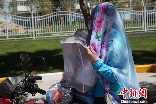 蚊虫肆虐 新疆兵团职工“妙招”防蚊虫