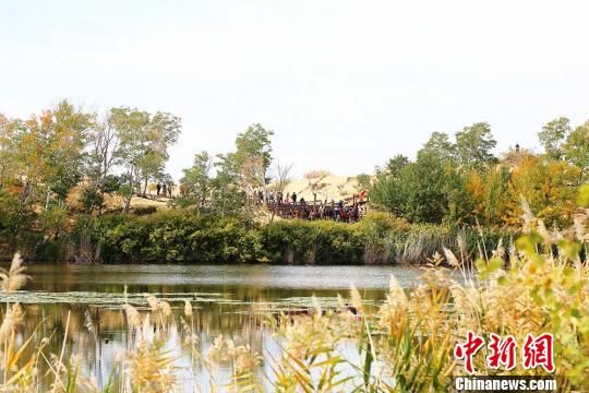 新疆兵团首个5A级景区白沙湖层林尽染迎“最美季节”
