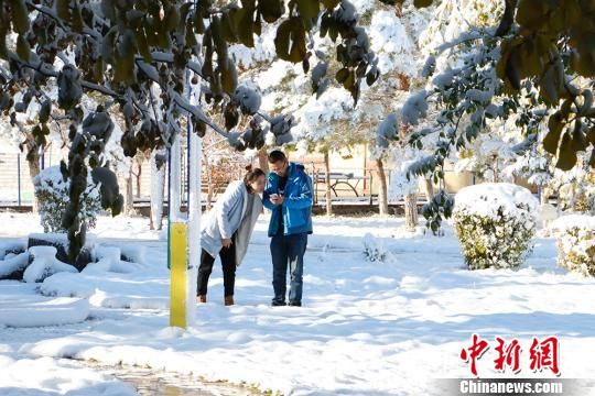 新疆兵团边境团场迎入秋来首场强降雪 雪后美景如画