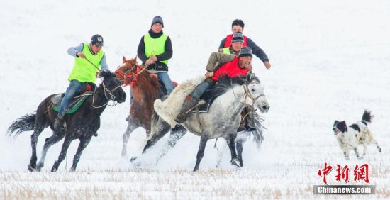 新疆察县牧民上演雪地“刁羊”赛场雪花四溅