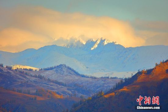 新疆哈巴河县:金秋树木、雪山交相辉映美如画