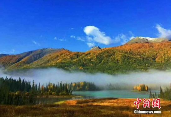 新疆喀纳斯深秋风景美如画