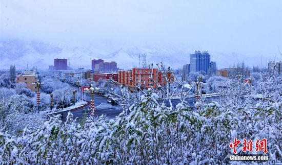 新疆尼勒克县罕见雾凇景观 满山玉树琼枝