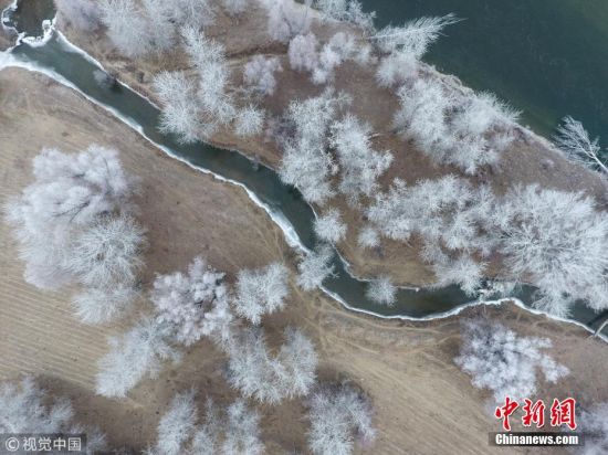 新疆额尔齐斯河现雾凇景观 河谷银装素裹宛如仙境