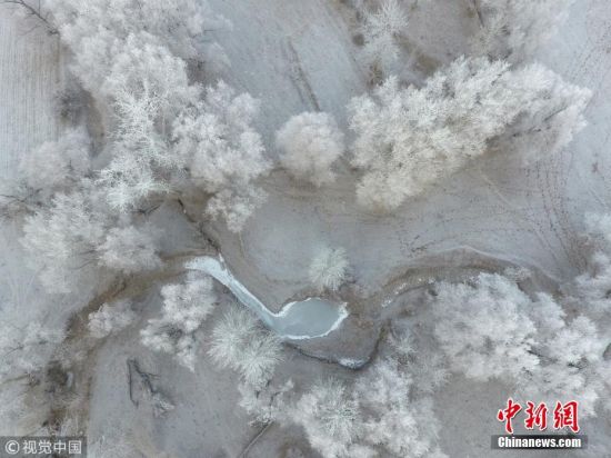 新疆额尔齐斯河流域现唯美雾凇景观 宛如仙境