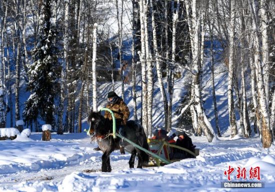 新疆阿勒泰山区与众不同的“马的”
