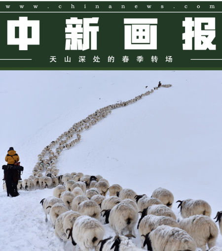 【图刊】天山深处的春季转场