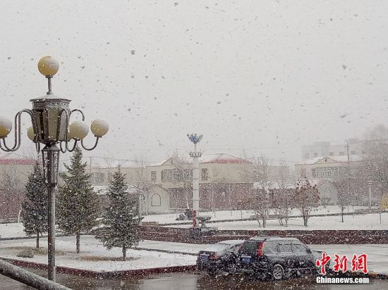 新疆北部突降大雪 气温降到零下5度