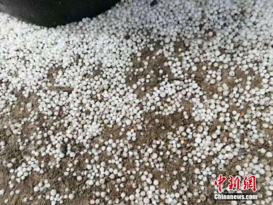 新疆尉犁遇大风沙尘 局地降冰雹