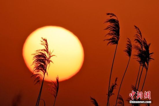 新疆克拉玛依夕阳映满天