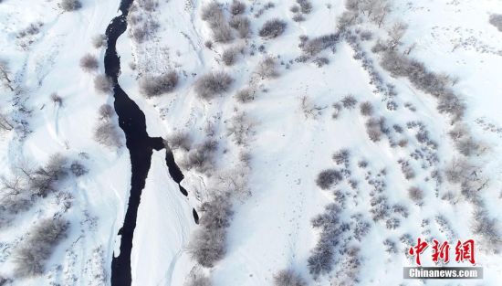 新疆乌尔禾雪盖胡杨林似水墨殿堂