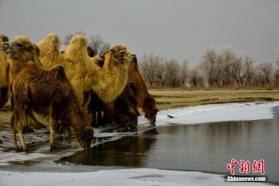 新疆尉犁县境内塔克拉玛干沙漠雪景美如画