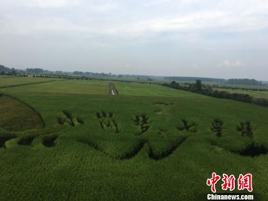 安徽小岗村：“三产”融合的产业发展格局初步形成