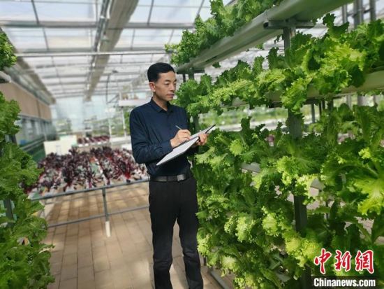 甘肃科技特派员话“农事”：解细微难事 帮农民解忧