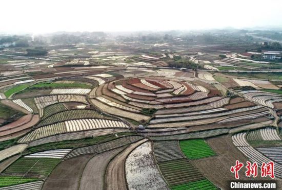 广西新冠肺炎确诊病例增至251例 采取超常规举措化解疫情影响