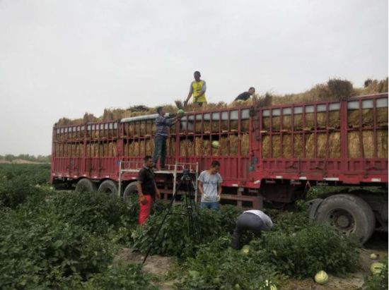 二二 U513P955T2D18439F10DT20200806150240.jpg