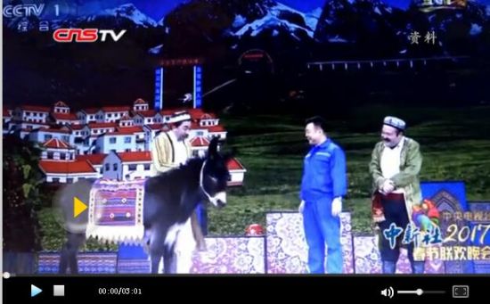 探访登台春晚的小毛驴“古丽” 爱发脾气性格倔