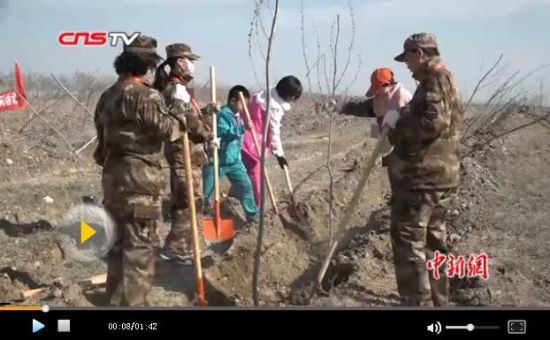 新疆乌鲁木齐近万名市民西山农场植树2万棵