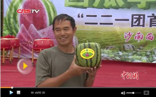 新疆种出方形西瓜 瓜农:价格非常可观