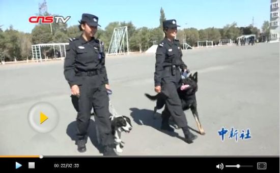 新疆警队训犬“姐妹花”:训犬爱犬盼上勤