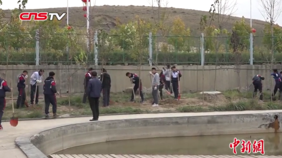新疆修改义务植树条例每人至少3颗树 师生点赞