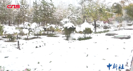 新疆发布暴雪蓝色预警 乌鲁木齐等局地有暴雪