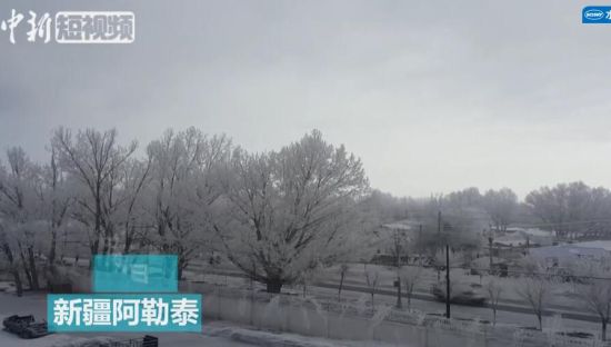 新疆阿勒泰现雾凇奇观 玉树琼花宛若仙境