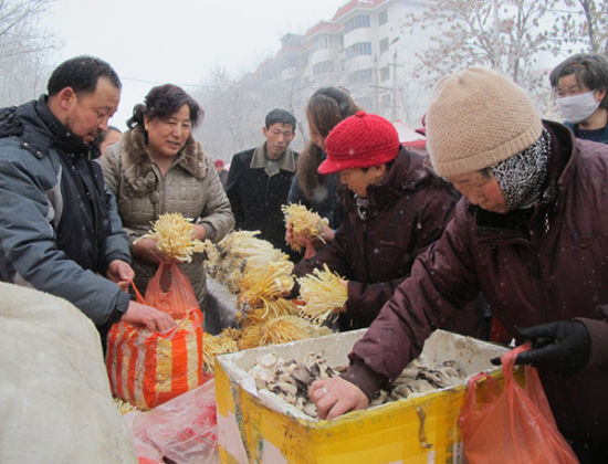 第八师一四三团徐峰利用农闲季节培育食用菌实现增收