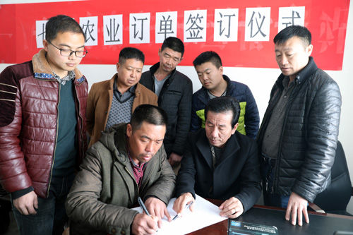 十师一八七团:发展“订单农业”助农工增收