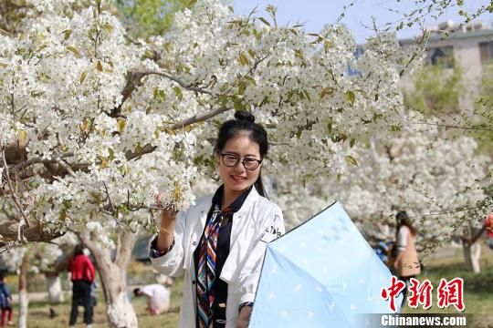 新疆天山南麓万亩梨花绽放 蜂飞蝶舞春意浓
