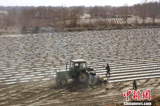 新疆兵团塔里木垦区30万亩棉花播种正酣