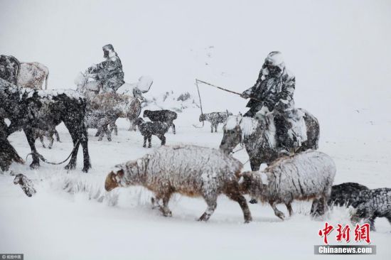 新疆阿勒泰现强降雪天气 交通出行受阻
