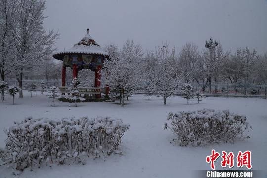 新疆兵团边境团场雪后景色美如画