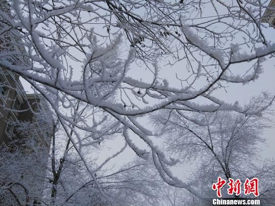 新疆乌鲁木齐现雾凇美景