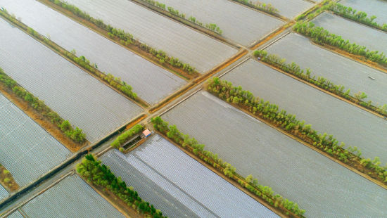 二师三十团:戈壁添美景 荒漠建绿洲