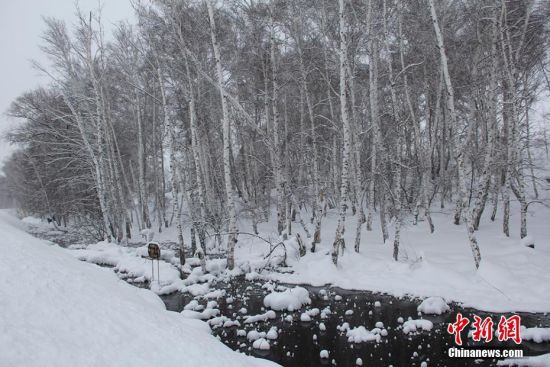 新疆“不冻泉”-43.5℃不结冰 清水穿越林海雪原