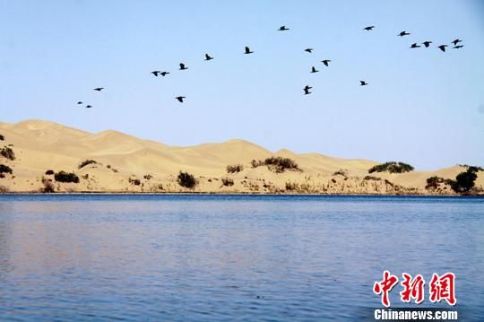 新疆将开建首个“兵地融合创新型旅游示范景区”