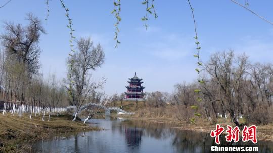 新疆兵团团场由戈壁荒滩变“大漠绿岛”景色似江南