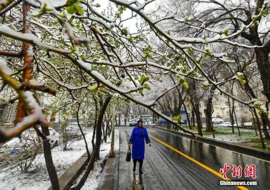 新疆遭遇大风暴雪沙尘暴霜冻 乌鲁木齐“又入冬天”