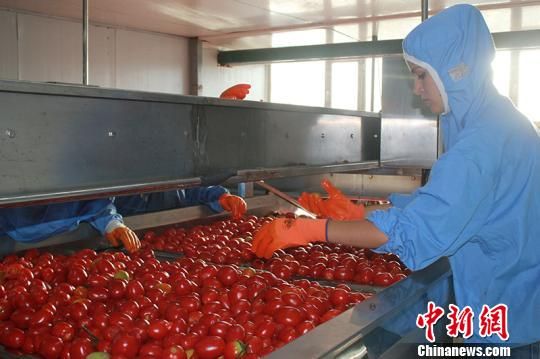 新疆兵团精准扶贫 接收贫困劳动力有组织转移务工就业