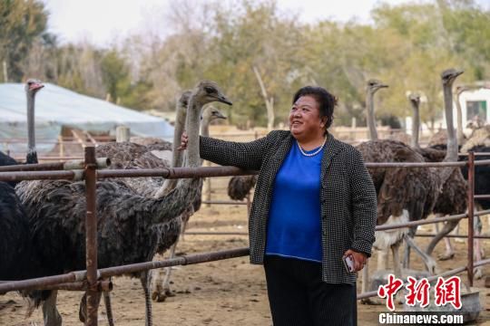 新疆呼图壁:特色养殖促脱贫