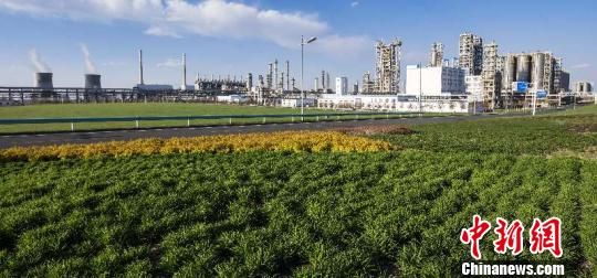 高强膜打破国外企业垄断 新疆独石化高端产品成增效利器