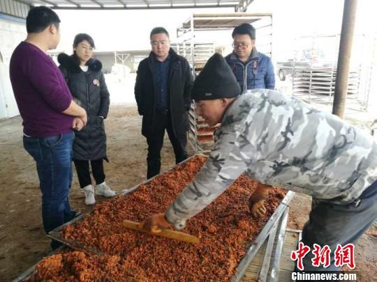 新疆兵团在沙漠边缘建经济林基地促农增收(图)