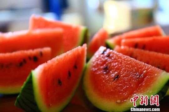 舌尖上的水果 新疆托克逊县进入瓜果飘香季