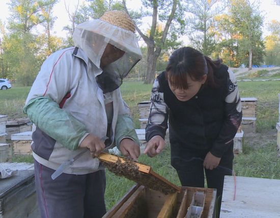 新疆兵团一八八团唐坤伍:蜜蜂酿造幸福生活