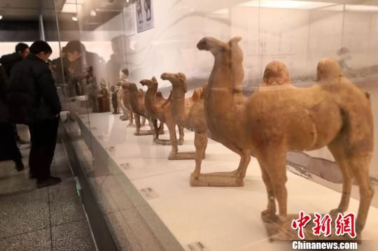 甘肃300件文物现古丝路交通 穿越古今展视听新体验