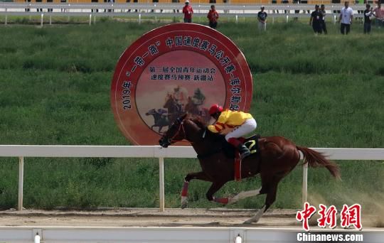 2019年“一带一路”中国速度赛马公开赛-库尔勒站比赛落幕